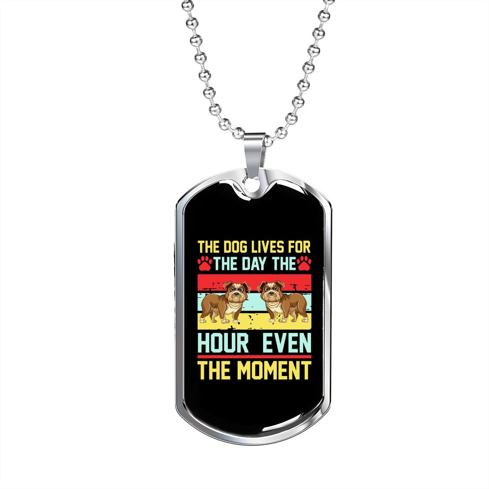 The Dog Lives Colors Necklace Stainless Steel or 18k Gold Dog Tag 24" Chain-Express Your Love Gifts
