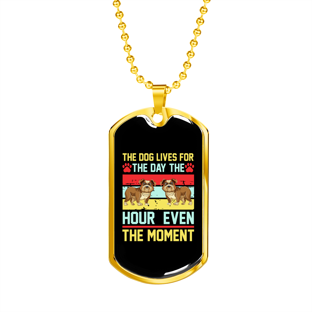 The Dog Lives Colors Necklace Stainless Steel or 18k Gold Dog Tag 24" Chain-Express Your Love Gifts