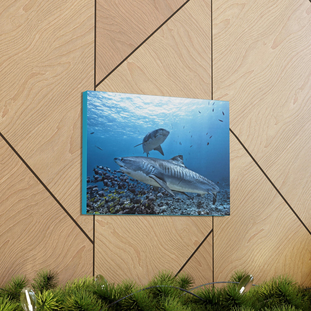 Scripture Walls Tiger Shark Hunting Tiger Shark on Hunt Print Animal Wall Art Wildlife Canvas Prints Wall Art Ready to Hang Unframed-Express Your Love Gifts