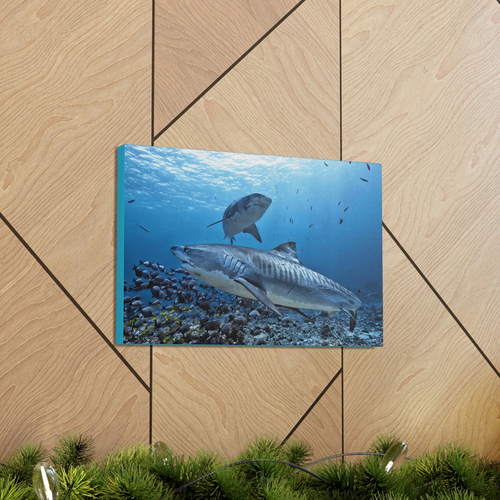 Scripture Walls Tiger Shark Hunting Tiger Shark on Hunt Print Animal Wall Art Wildlife Canvas Prints Wall Art Ready to Hang Unframed-Express Your Love Gifts