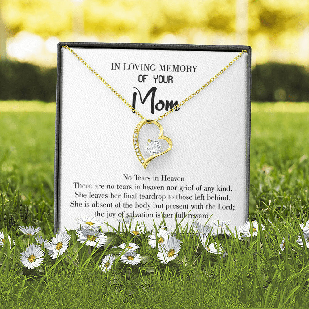 To Mom Remembrance Message Tears in Heaven Forever Necklace w Message Card-Express Your Love Gifts