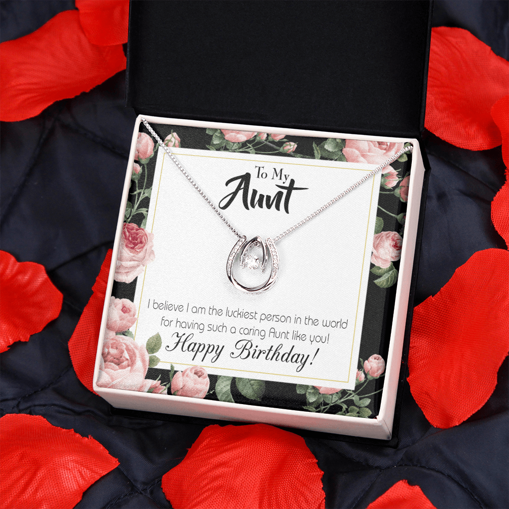 To My Aunt Aunt Like You Lucky Horseshoe Necklace Message Card 14k w CZ Crystals-Express Your Love Gifts