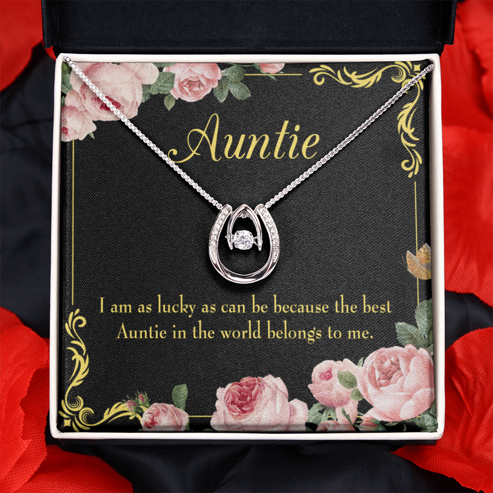 To My Aunt Best Auntie Lucky Horseshoe Necklace Message Card 14k w CZ Crystals-Express Your Love Gifts
