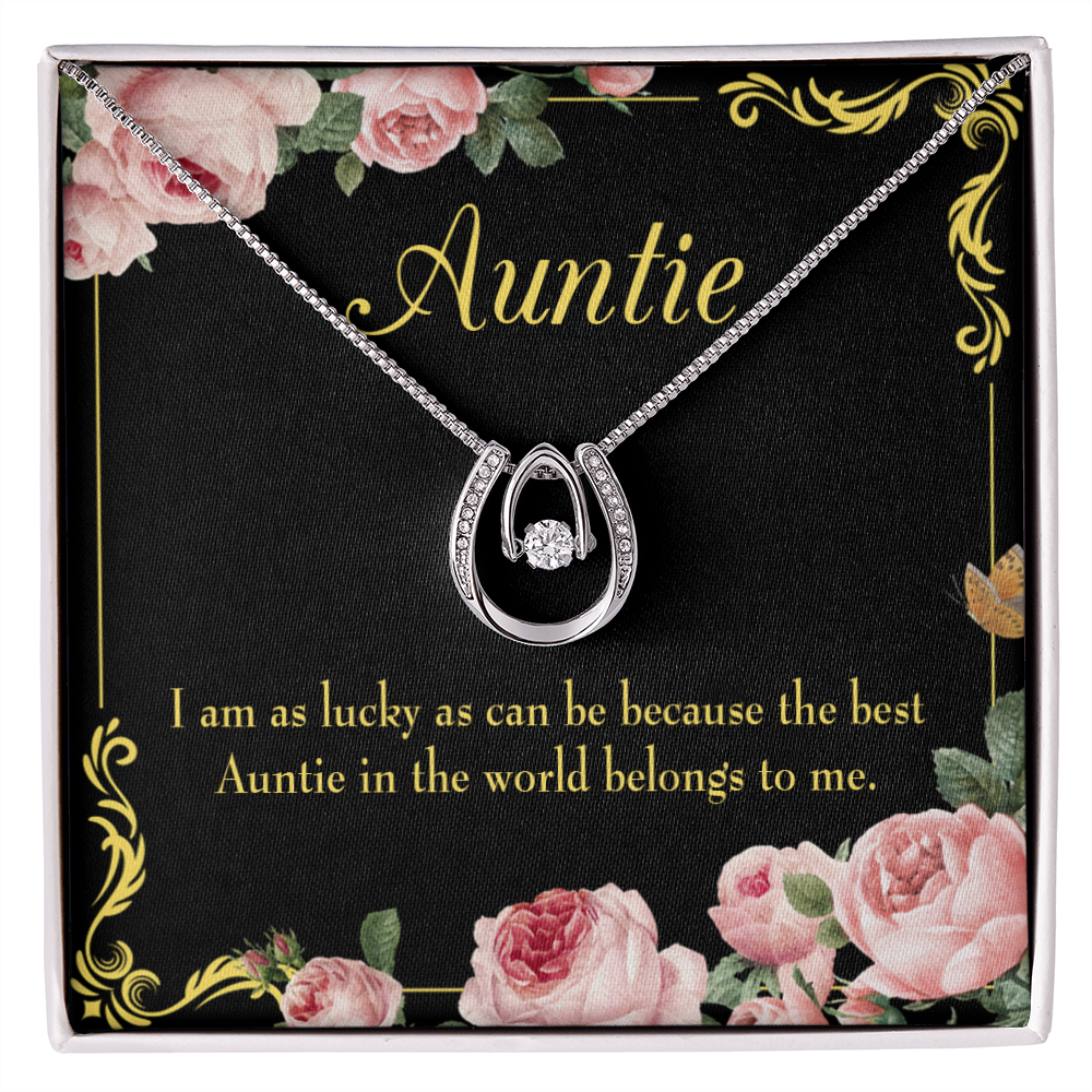 To My Aunt Best Auntie Lucky Horseshoe Necklace Message Card 14k w CZ Crystals-Express Your Love Gifts