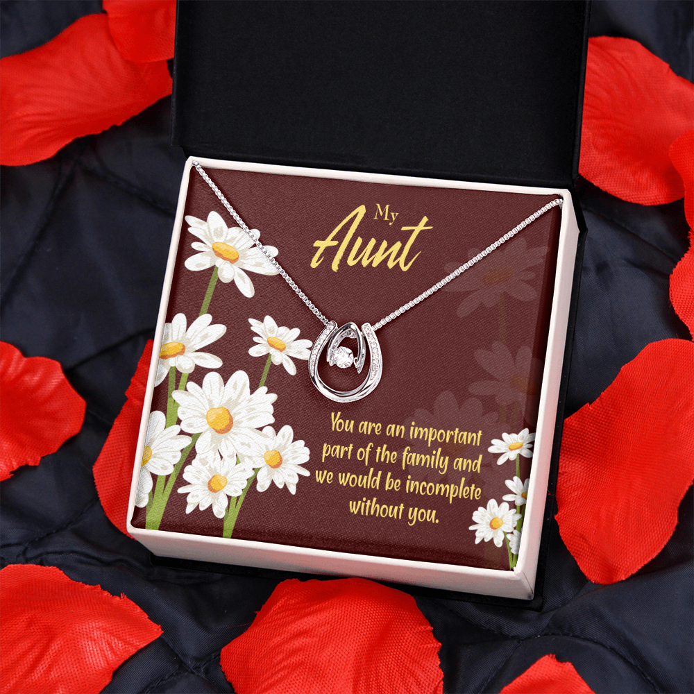 To My Aunt Importance Lucky Horseshoe Necklace Message Card 14k w CZ Crystals-Express Your Love Gifts