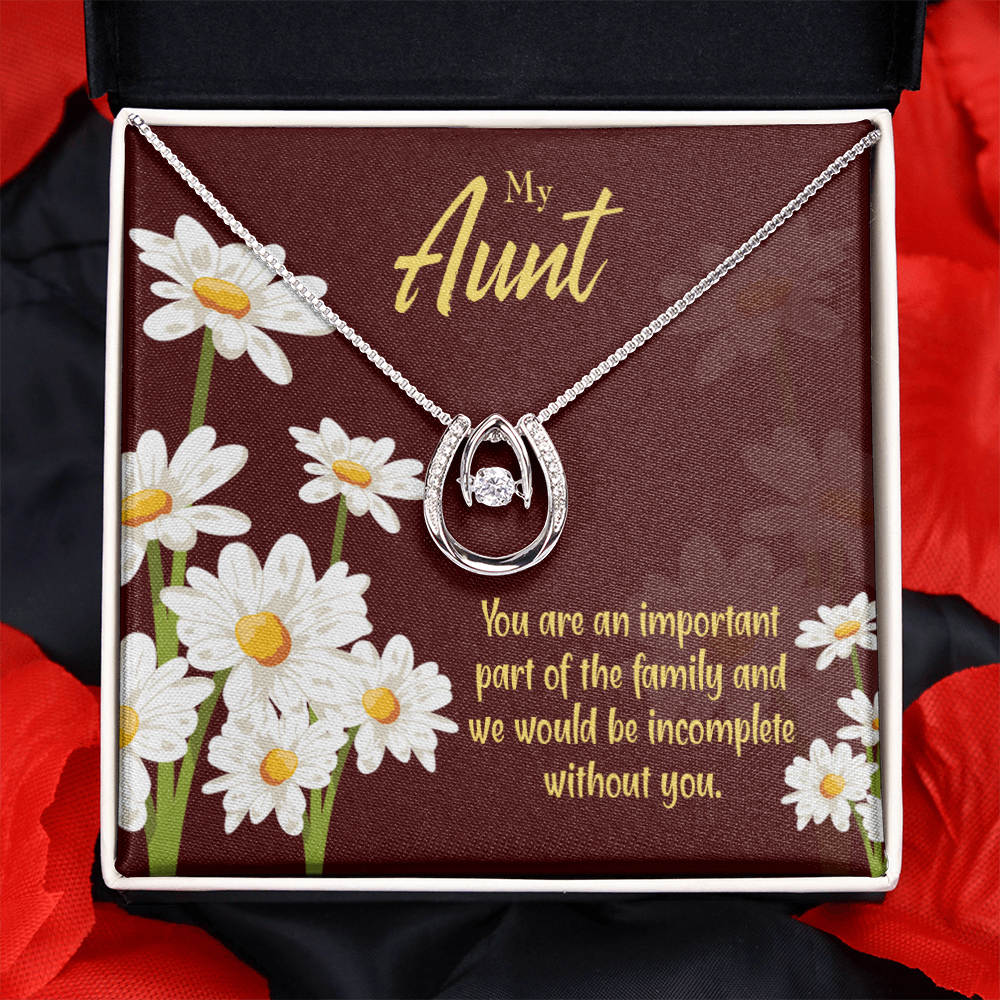 To My Aunt Importance Lucky Horseshoe Necklace Message Card 14k w CZ Crystals-Express Your Love Gifts