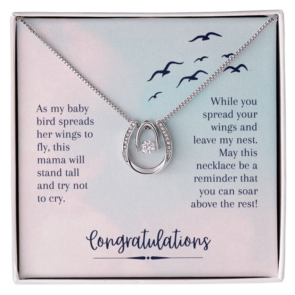 To My Daughter Soar Above the rest - Graduation Lucky Horseshoe Necklace Message Card 14k w CZ Crystals-Express Your Love Gifts