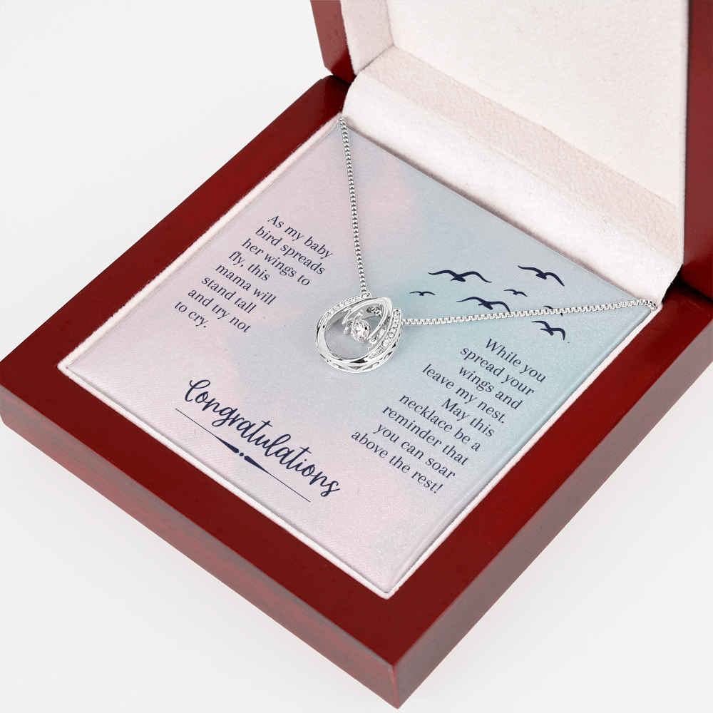 To My Daughter Soar Above the rest - Graduation Lucky Horseshoe Necklace Message Card 14k w CZ Crystals-Express Your Love Gifts