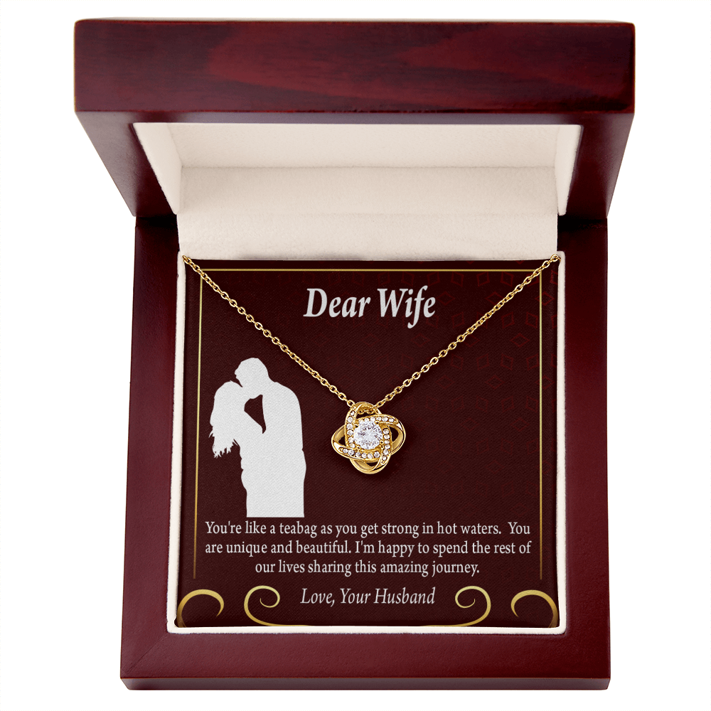 To My Fiancee Love Journey Infinity Knot Necklace Message Card-Express Your Love Gifts