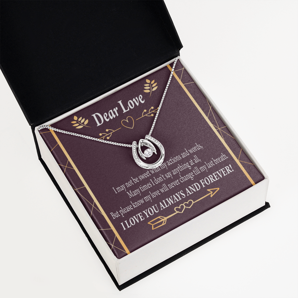 To My Girlfriend Apology Lucky Horseshoe Necklace Message Card 14k w CZ Crystals-Express Your Love Gifts