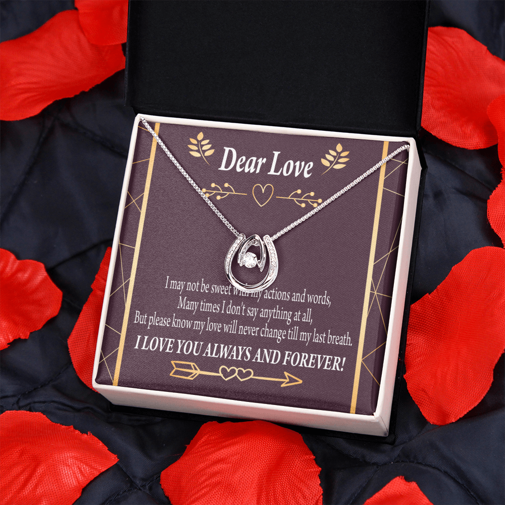 To My Girlfriend Apology Lucky Horseshoe Necklace Message Card 14k w CZ Crystals-Express Your Love Gifts