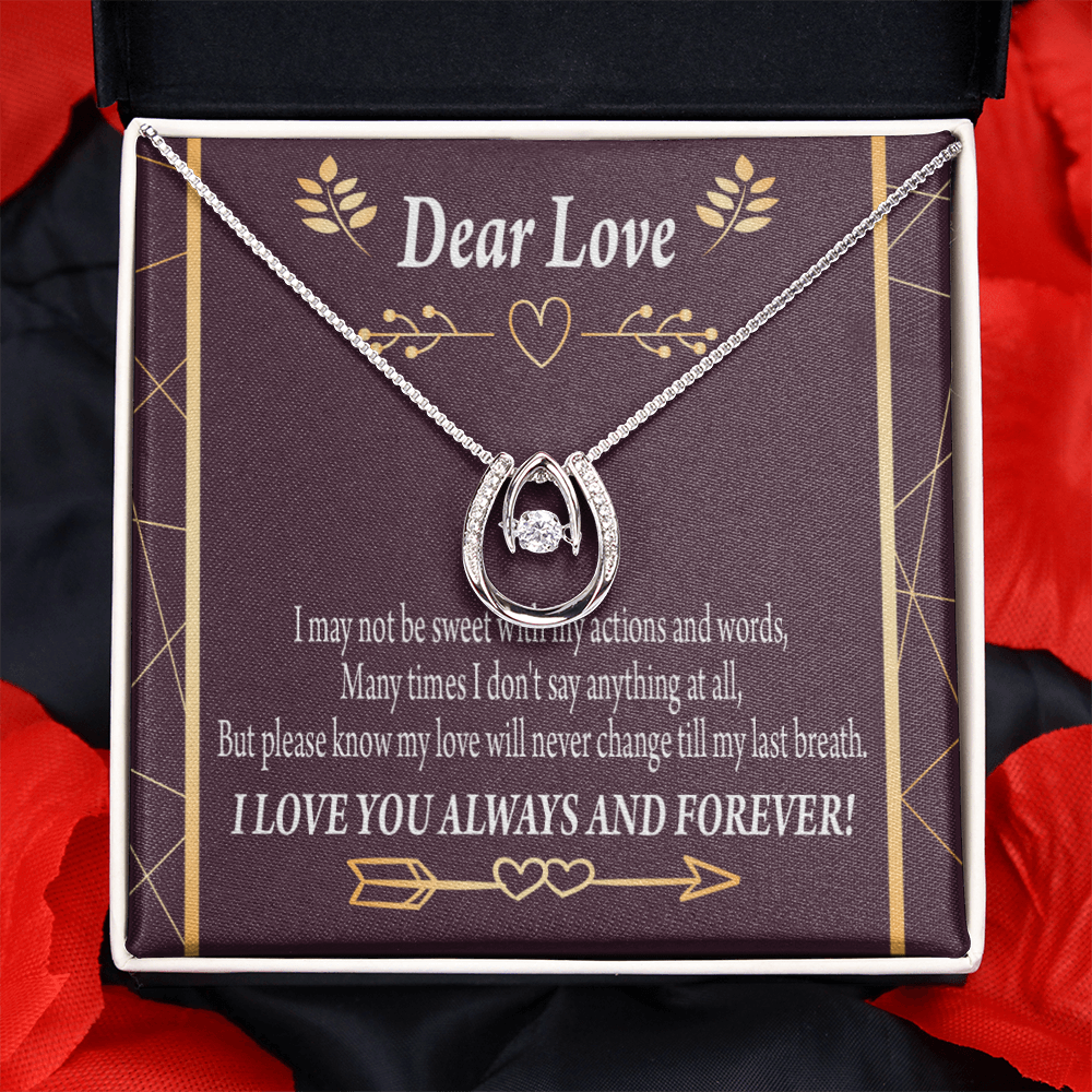 To My Girlfriend Apology Lucky Horseshoe Necklace Message Card 14k w CZ Crystals-Express Your Love Gifts