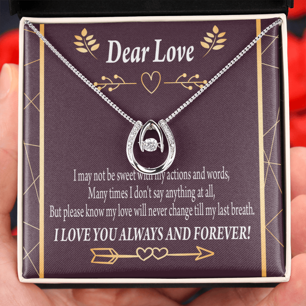 To My Girlfriend Apology Lucky Horseshoe Necklace Message Card 14k w CZ Crystals-Express Your Love Gifts