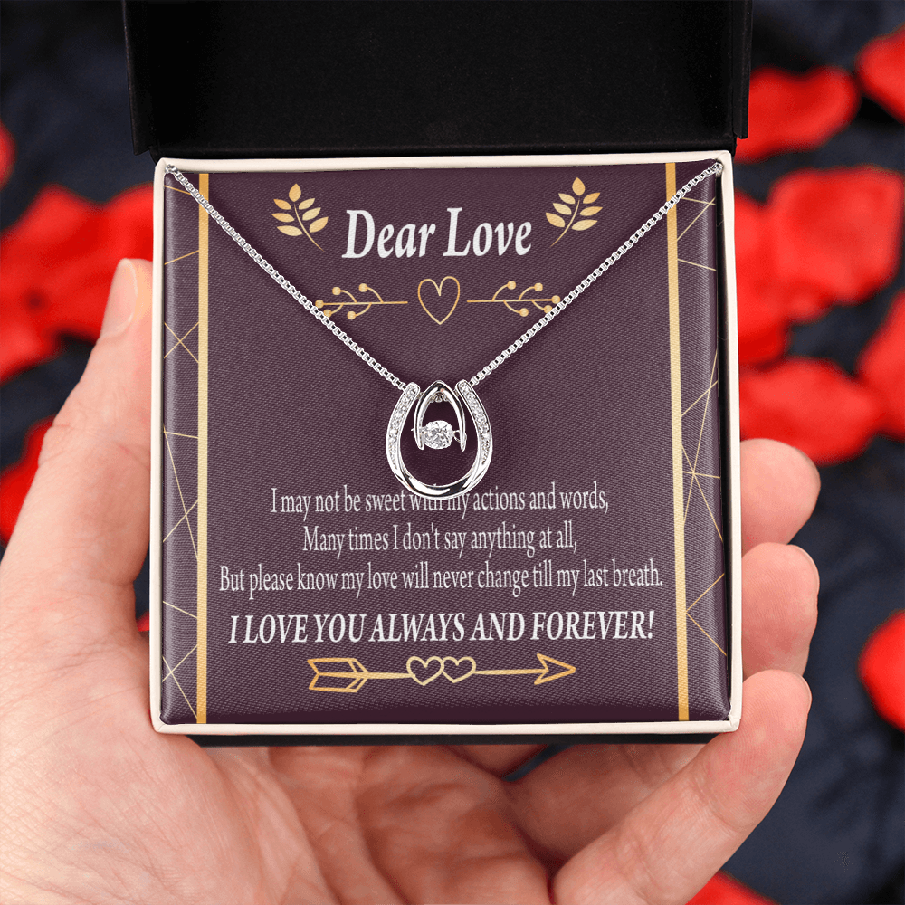 To My Girlfriend Apology Lucky Horseshoe Necklace Message Card 14k w CZ Crystals-Express Your Love Gifts