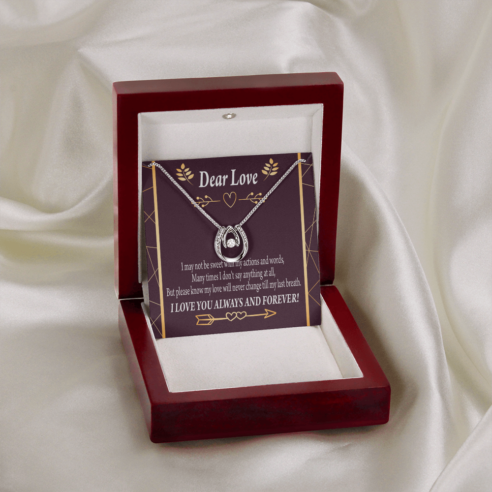 To My Girlfriend Apology Lucky Horseshoe Necklace Message Card 14k w CZ Crystals-Express Your Love Gifts