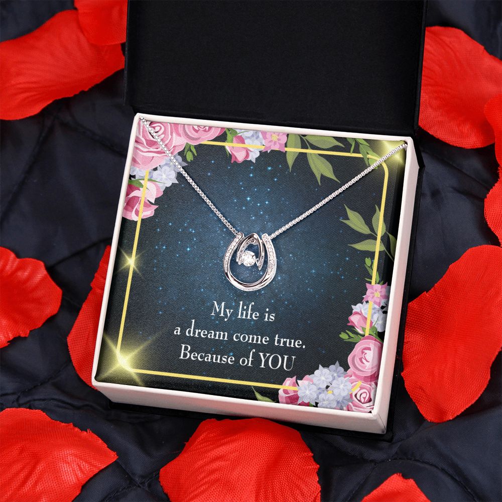 To My Girlfriend Because of YOU Lucky Horseshoe Necklace Message Card 14k w CZ Crystals-Express Your Love Gifts