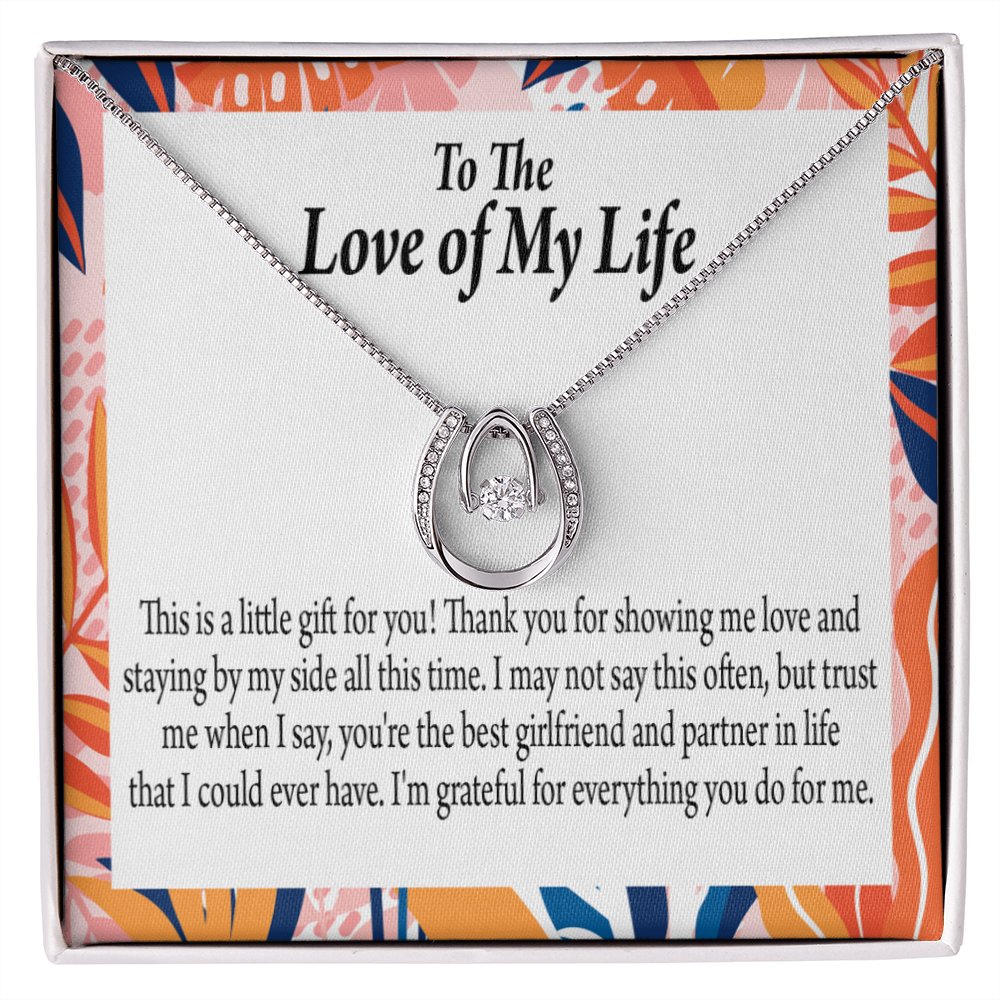 To My Girlfriend Best Girl Lucky Horseshoe Necklace Message Card 14k w CZ Crystals-Express Your Love Gifts