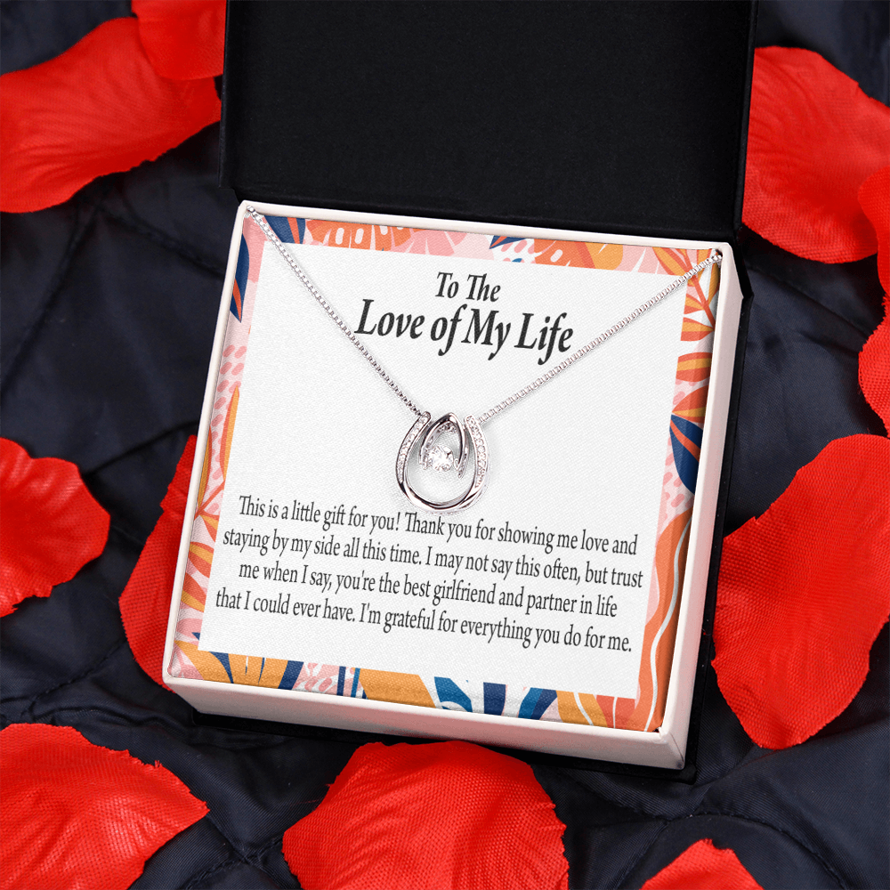 To My Girlfriend Best Girl Lucky Horseshoe Necklace Message Card 14k w CZ Crystals-Express Your Love Gifts
