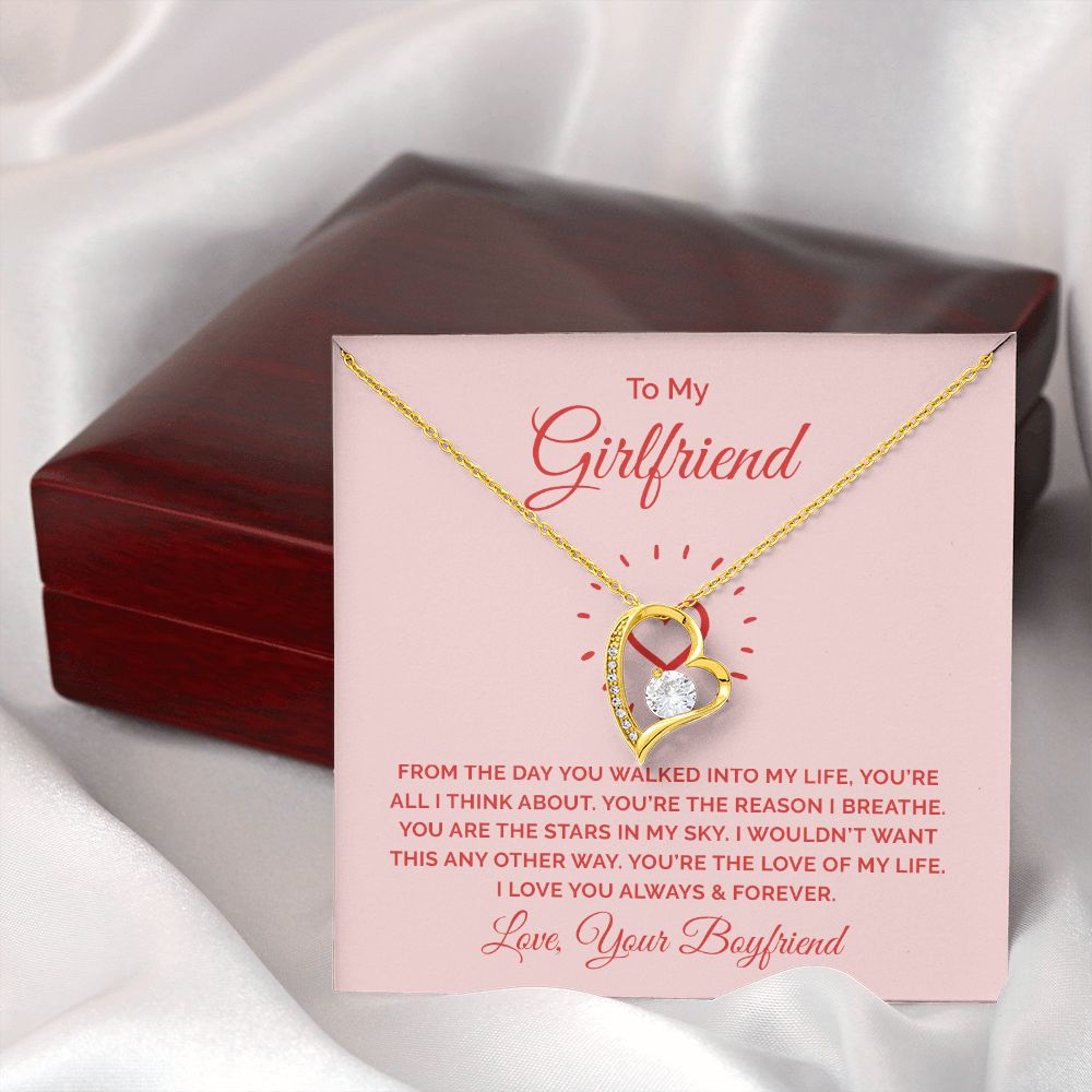 To My Girlfriend From the Day You Walked Into My Life Forever Necklace w Message Card-Express Your Love Gifts