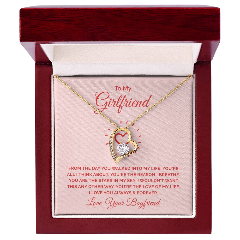 To My Girlfriend From the Day You Walked Into My Life Forever Necklace w Message Card-Express Your Love Gifts