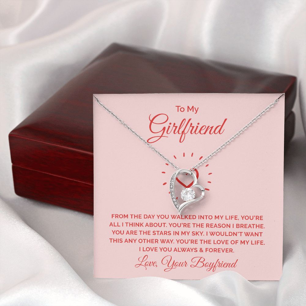 To My Girlfriend From the Day You Walked Into My Life Forever Necklace w Message Card-Express Your Love Gifts