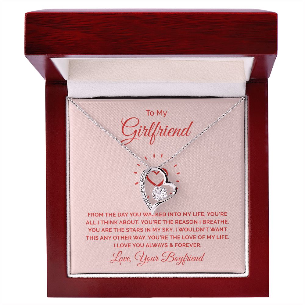 To My Girlfriend From the Day You Walked Into My Life Forever Necklace w Message Card-Express Your Love Gifts