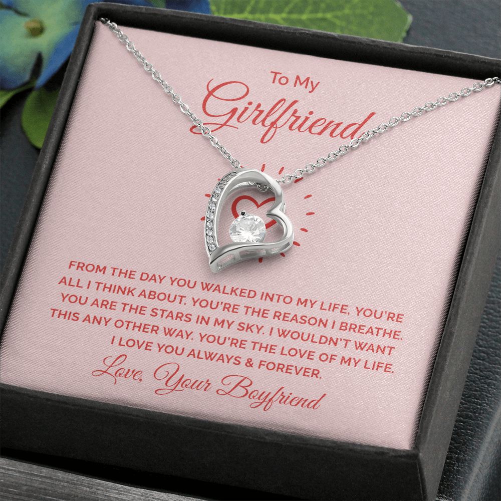 To My Girlfriend From the Day You Walked Into My Life Forever Necklace w Message Card-Express Your Love Gifts
