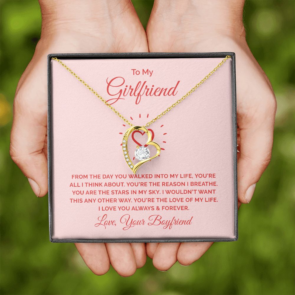 To My Girlfriend From the Day You Walked Into My Life Forever Necklace w Message Card-Express Your Love Gifts