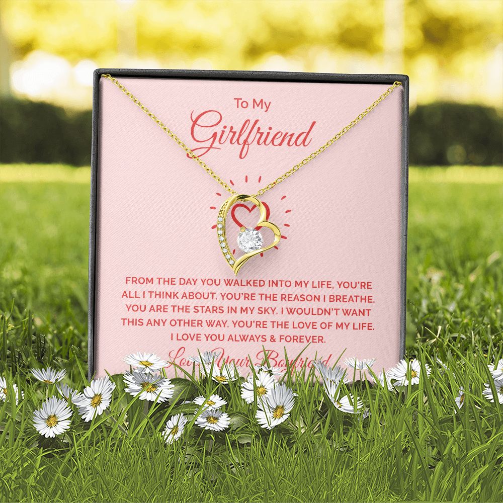 To My Girlfriend From the Day You Walked Into My Life Forever Necklace w Message Card-Express Your Love Gifts