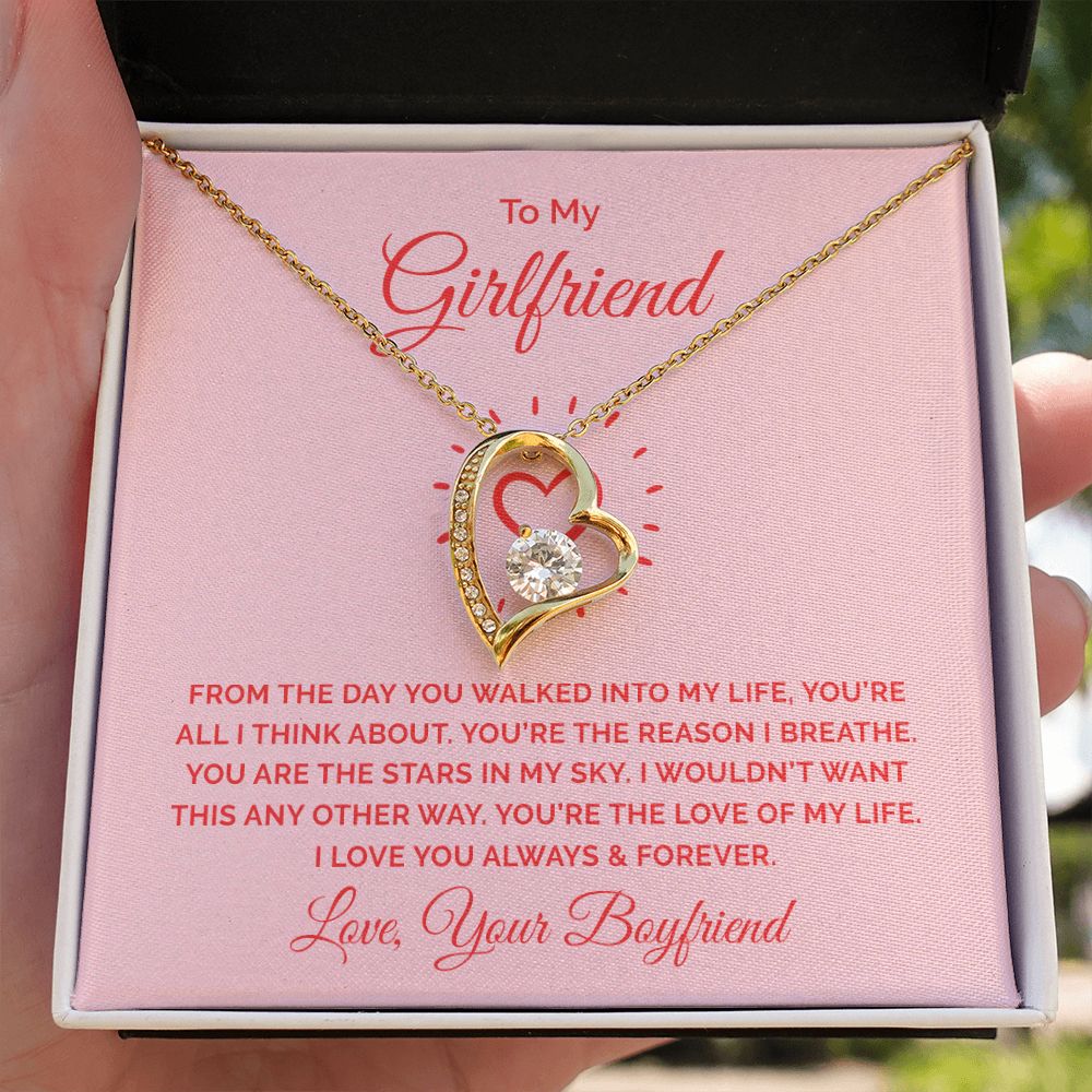 To My Girlfriend From the Day You Walked Into My Life Forever Necklace w Message Card-Express Your Love Gifts