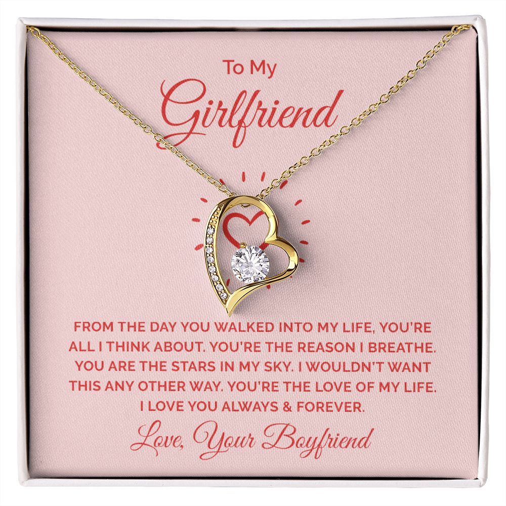 To My Girlfriend From the Day You Walked Into My Life Forever Necklace w Message Card-Express Your Love Gifts