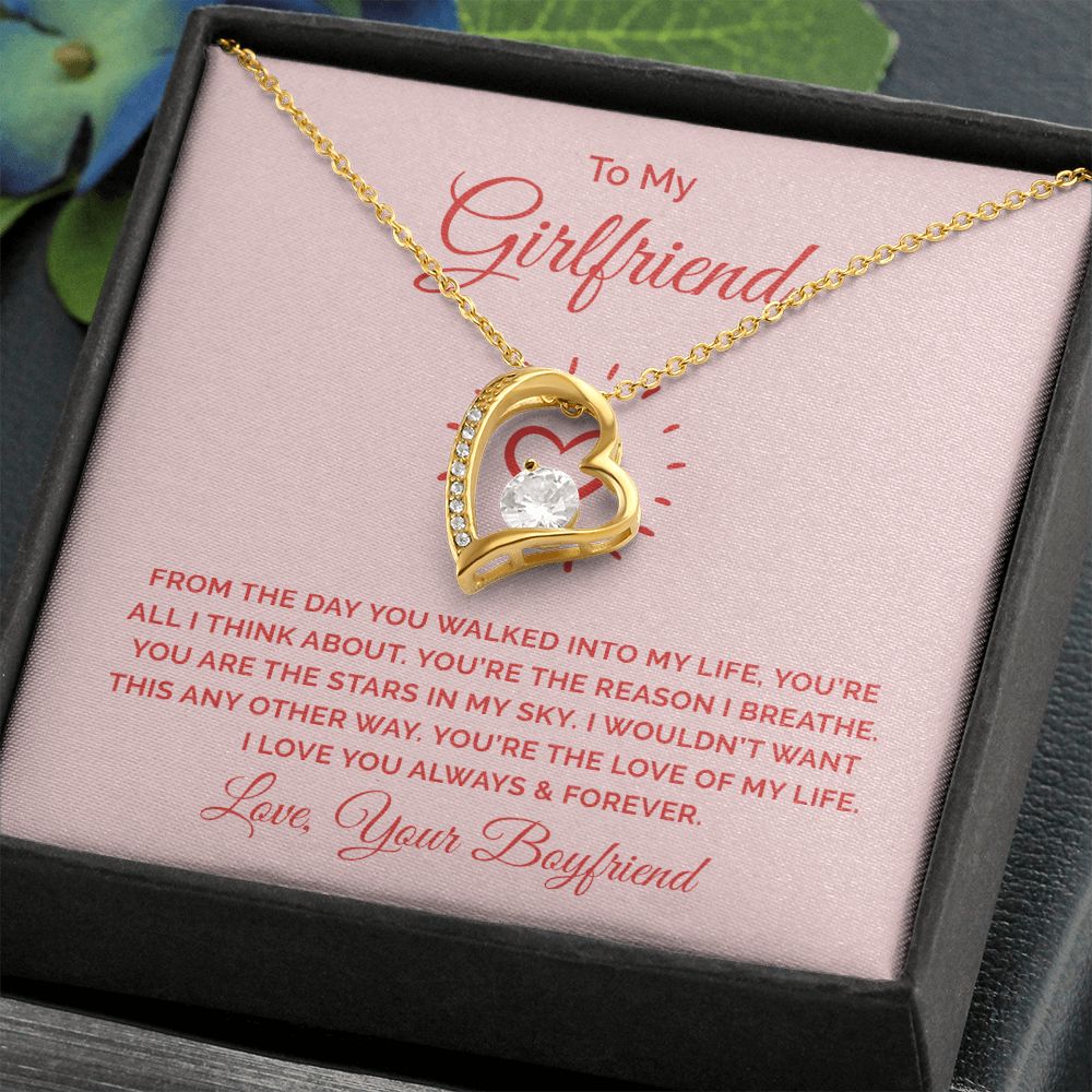 To My Girlfriend From the Day You Walked Into My Life Forever Necklace w Message Card-Express Your Love Gifts