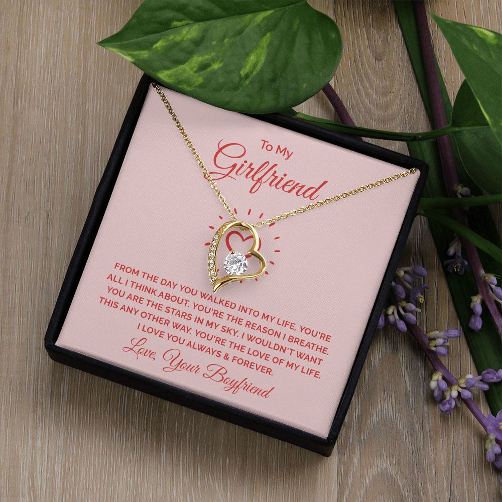 To My Girlfriend From the Day You Walked Into My Life Forever Necklace w Message Card-Express Your Love Gifts