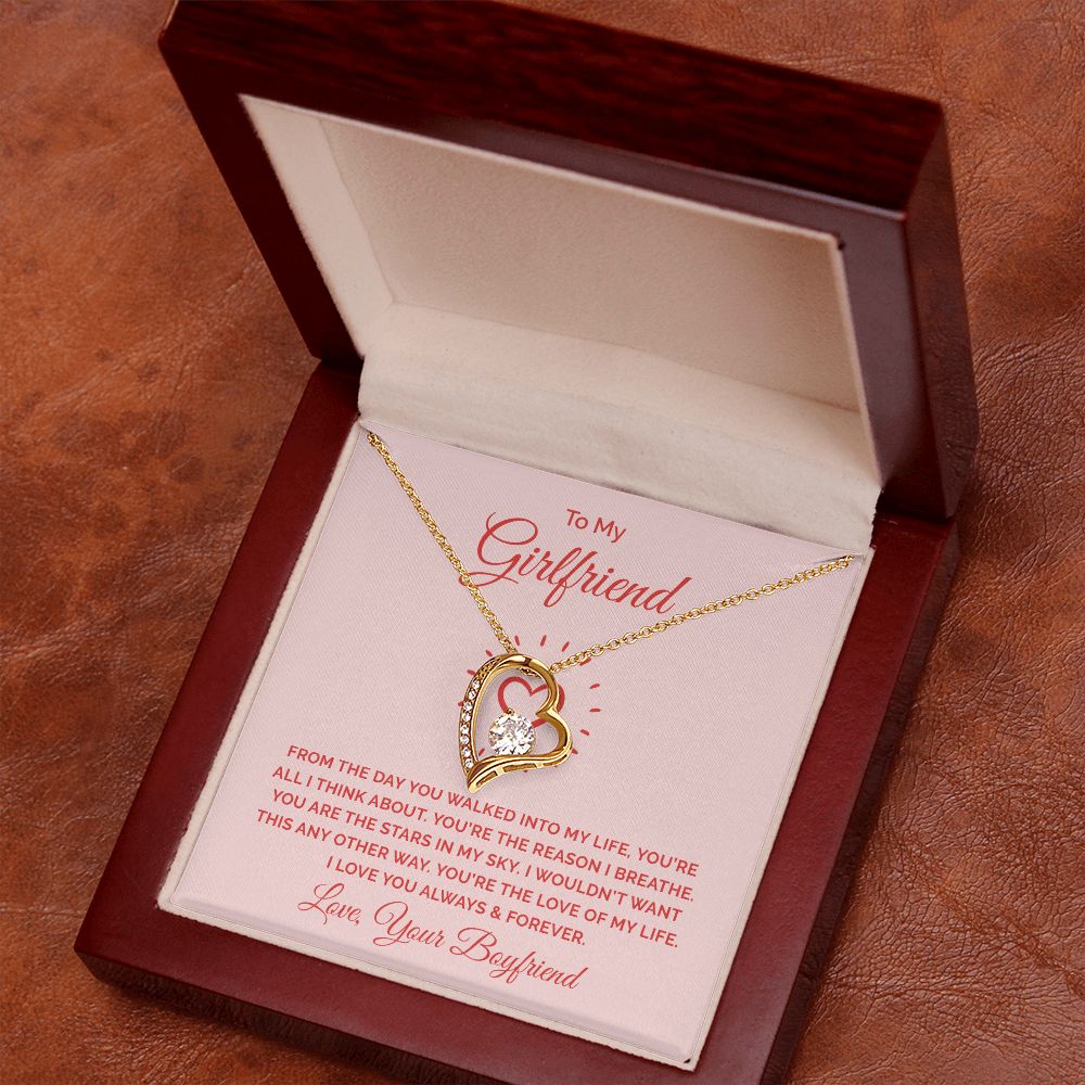 To My Girlfriend From the Day You Walked Into My Life Forever Necklace w Message Card-Express Your Love Gifts