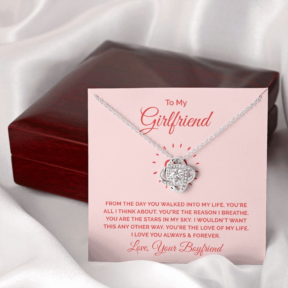 To My Girlfriend From the Day You Walked Into My Life Infinity Knot Necklace Message Card-Express Your Love Gifts