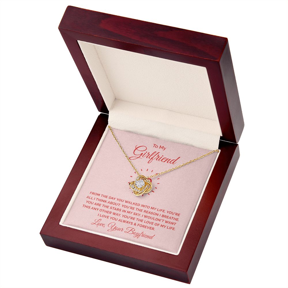 To My Girlfriend From the Day You Walked Into My Life Infinity Knot Necklace Message Card-Express Your Love Gifts