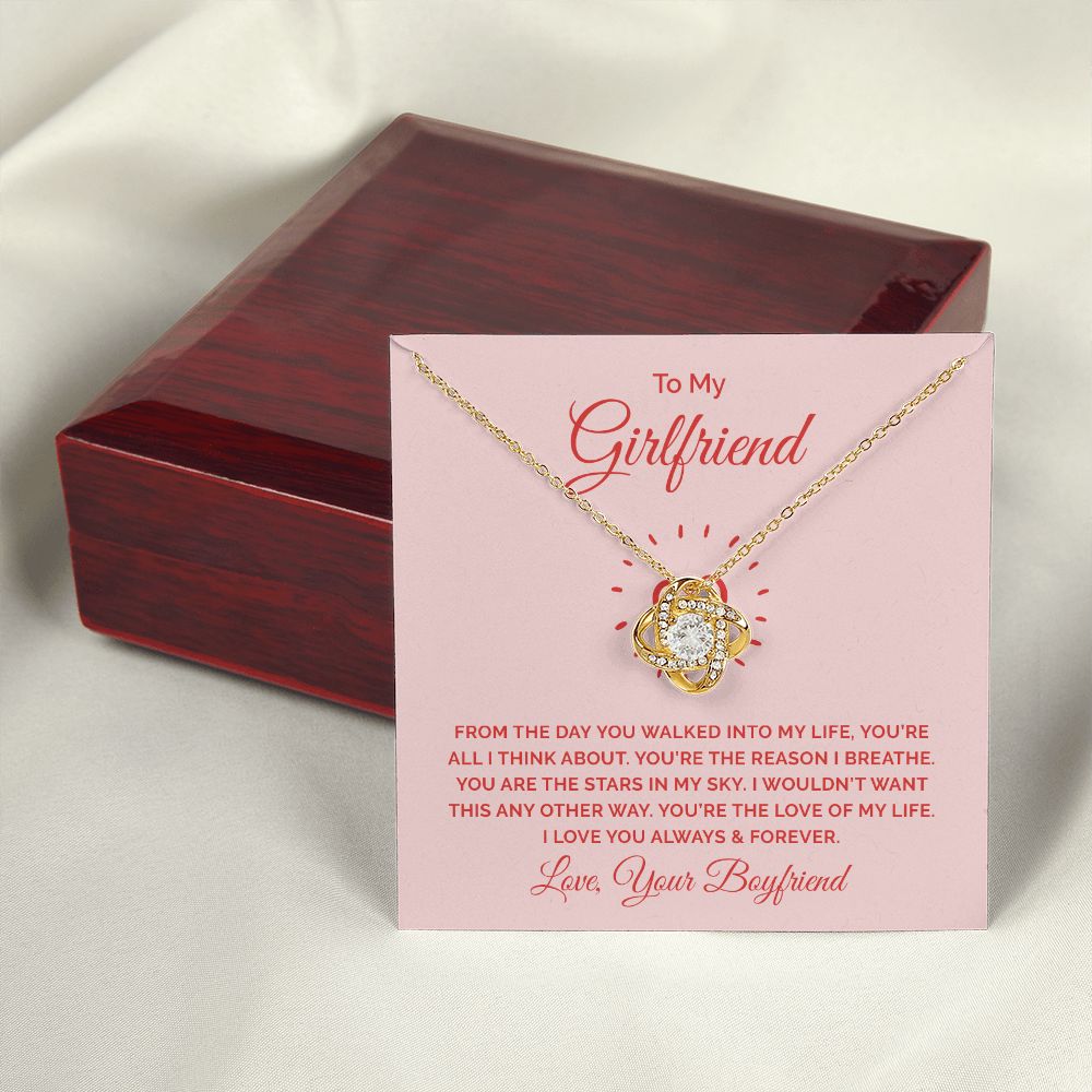 To My Girlfriend From the Day You Walked Into My Life Infinity Knot Necklace Message Card-Express Your Love Gifts