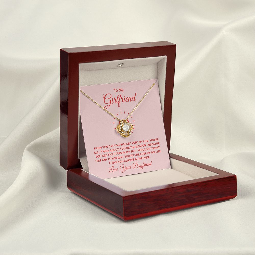 To My Girlfriend From the Day You Walked Into My Life Infinity Knot Necklace Message Card-Express Your Love Gifts