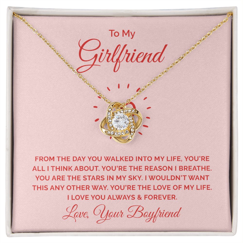 To My Girlfriend From the Day You Walked Into My Life Infinity Knot Necklace Message Card-Express Your Love Gifts