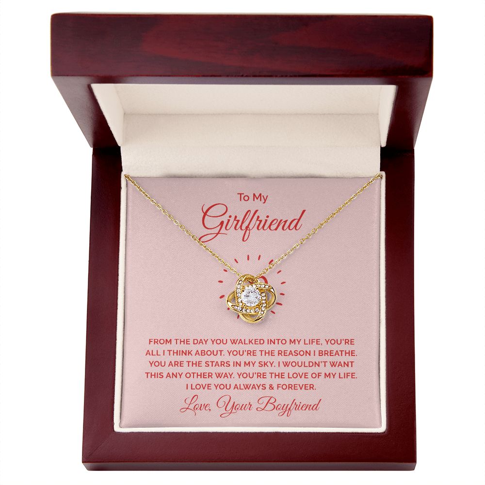 To My Girlfriend From the Day You Walked Into My Life Infinity Knot Necklace Message Card-Express Your Love Gifts