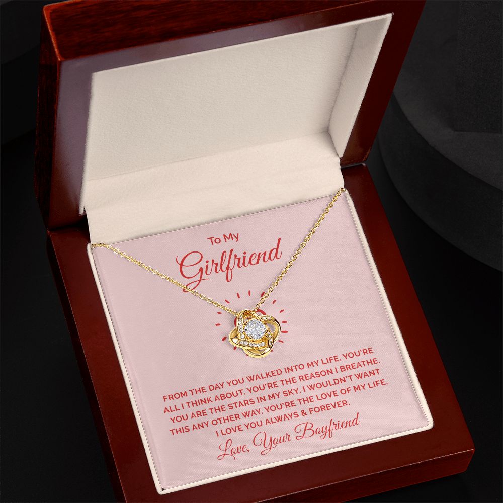 To My Girlfriend From the Day You Walked Into My Life Infinity Knot Necklace Message Card-Express Your Love Gifts