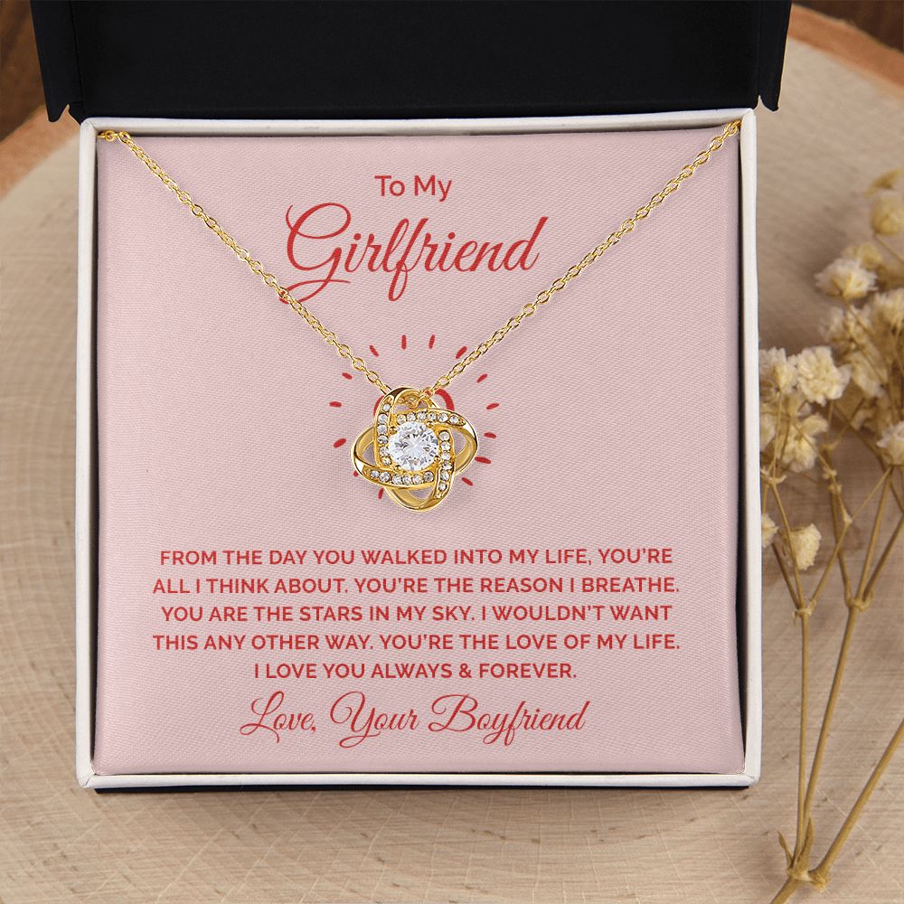 To My Girlfriend From the Day You Walked Into My Life Infinity Knot Necklace Message Card-Express Your Love Gifts