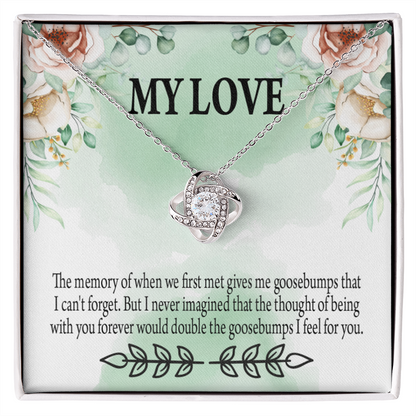 To My Girlfriend Goosebumps Forever Infinity Knot Necklace Message Card-Express Your Love Gifts