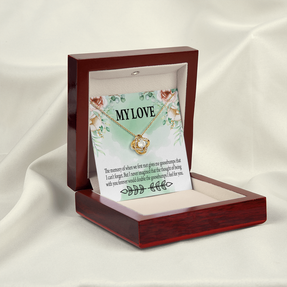 To My Girlfriend Goosebumps Forever Infinity Knot Necklace Message Card-Express Your Love Gifts