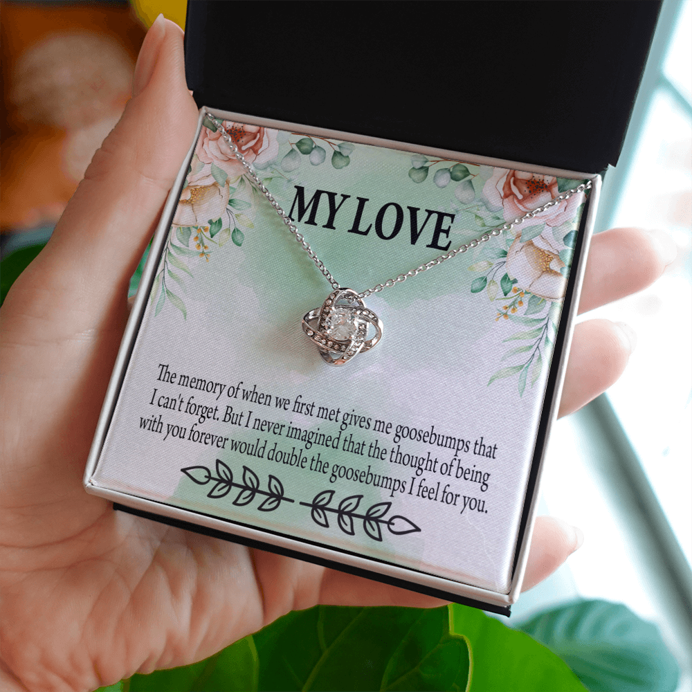 To My Girlfriend Goosebumps Forever Infinity Knot Necklace Message Card-Express Your Love Gifts