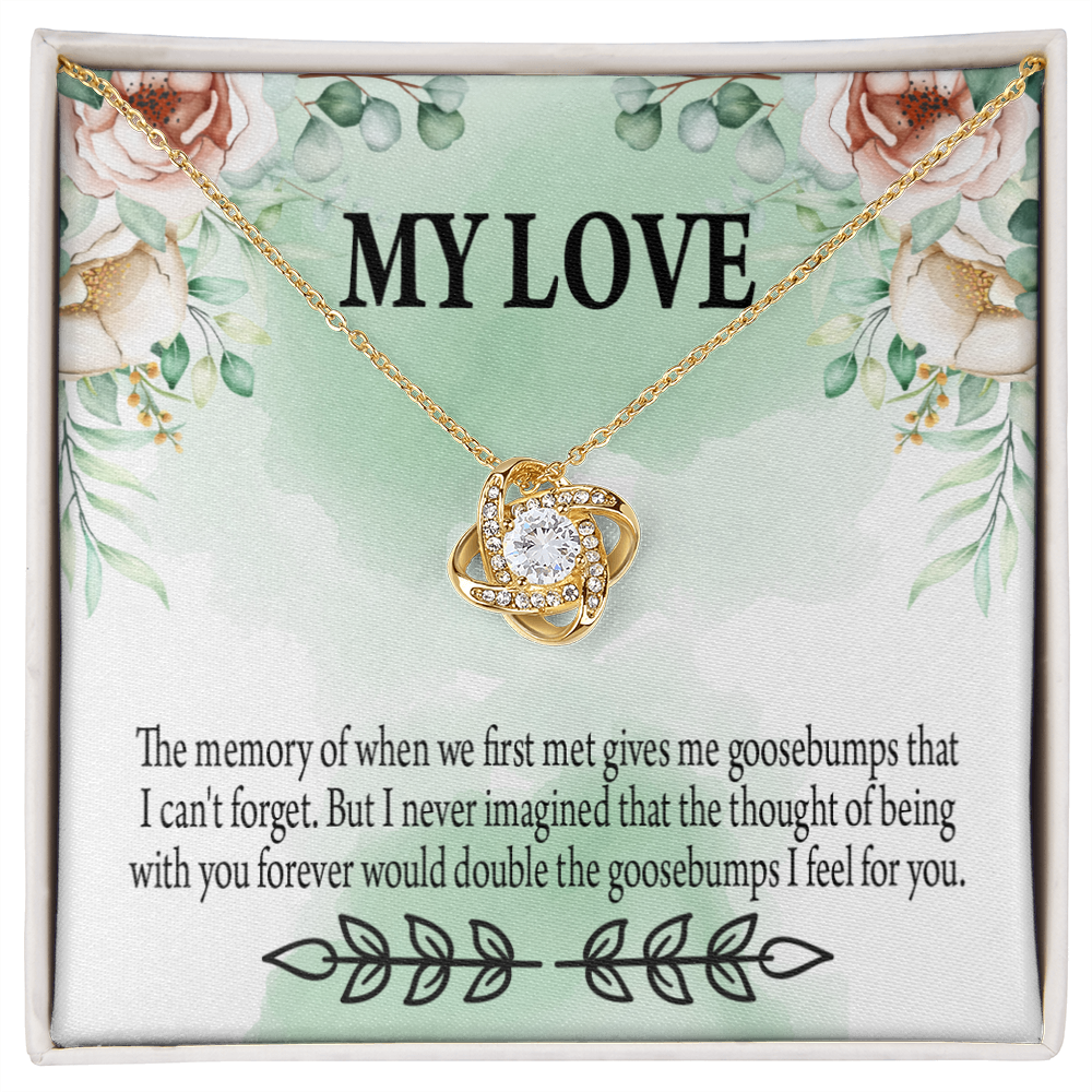 To My Girlfriend Goosebumps Forever Infinity Knot Necklace Message Card-Express Your Love Gifts