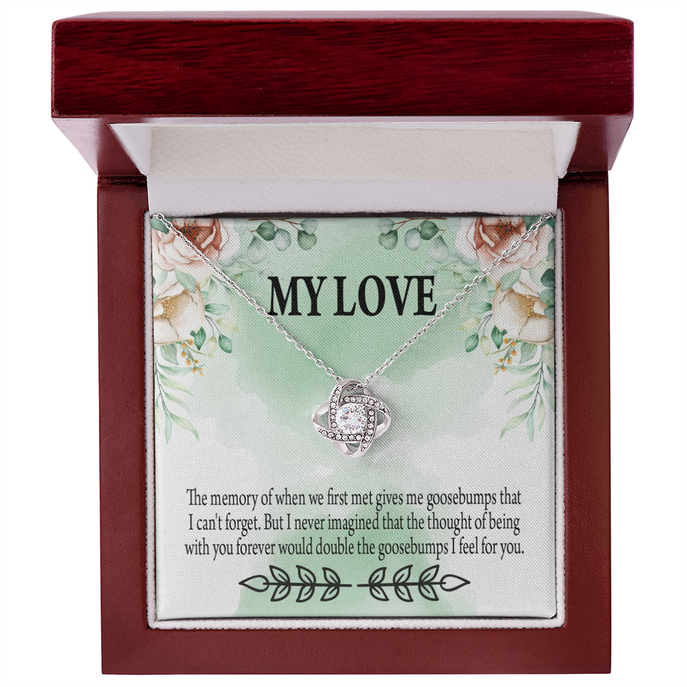 To My Girlfriend Goosebumps Forever Infinity Knot Necklace Message Card-Express Your Love Gifts