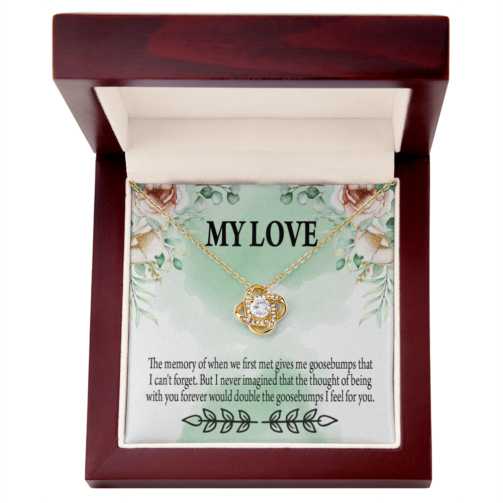 To My Girlfriend Goosebumps Forever Infinity Knot Necklace Message Card-Express Your Love Gifts