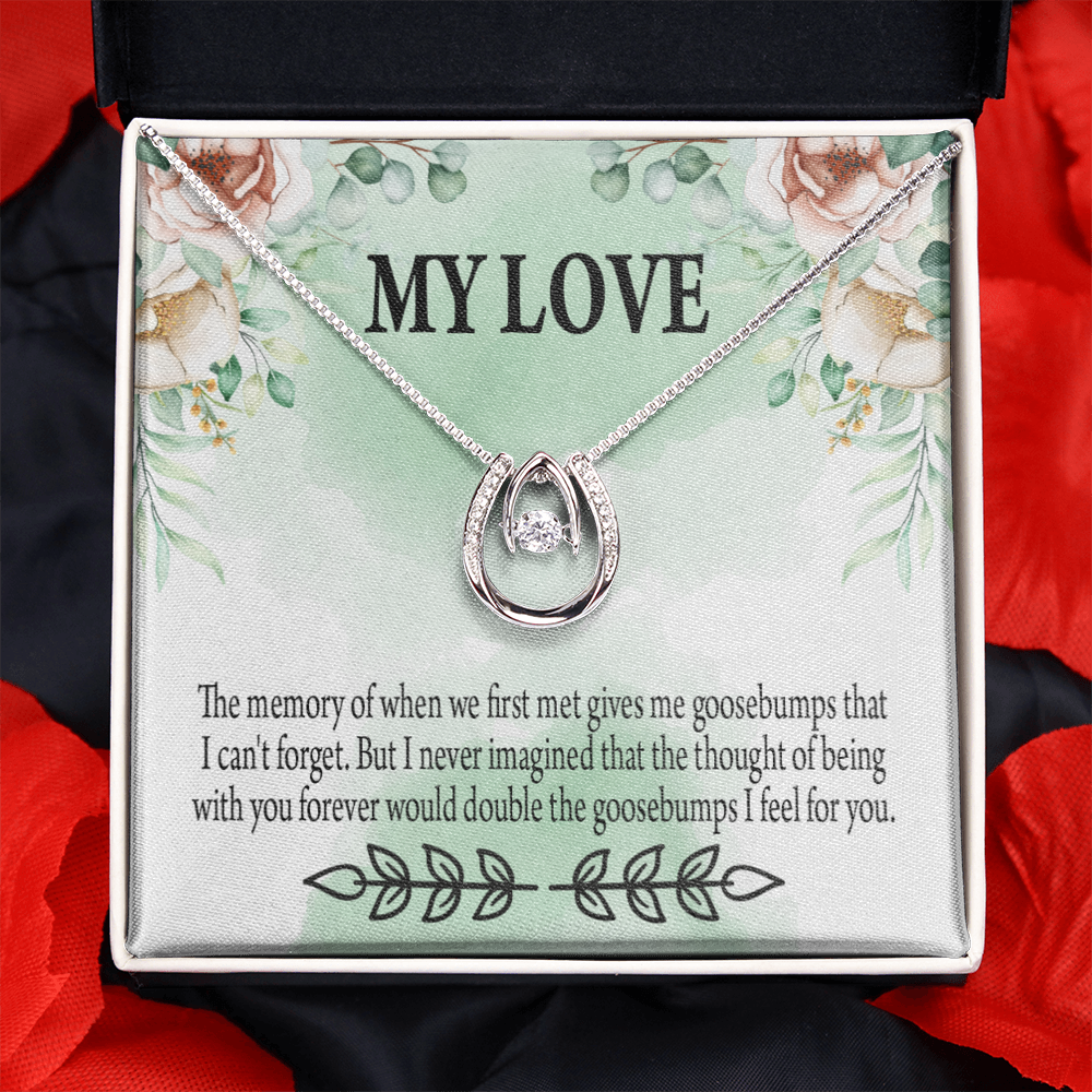 To My Girlfriend Goosebumps Forever Lucky Horseshoe Necklace Message Card 14k w CZ Crystals-Express Your Love Gifts