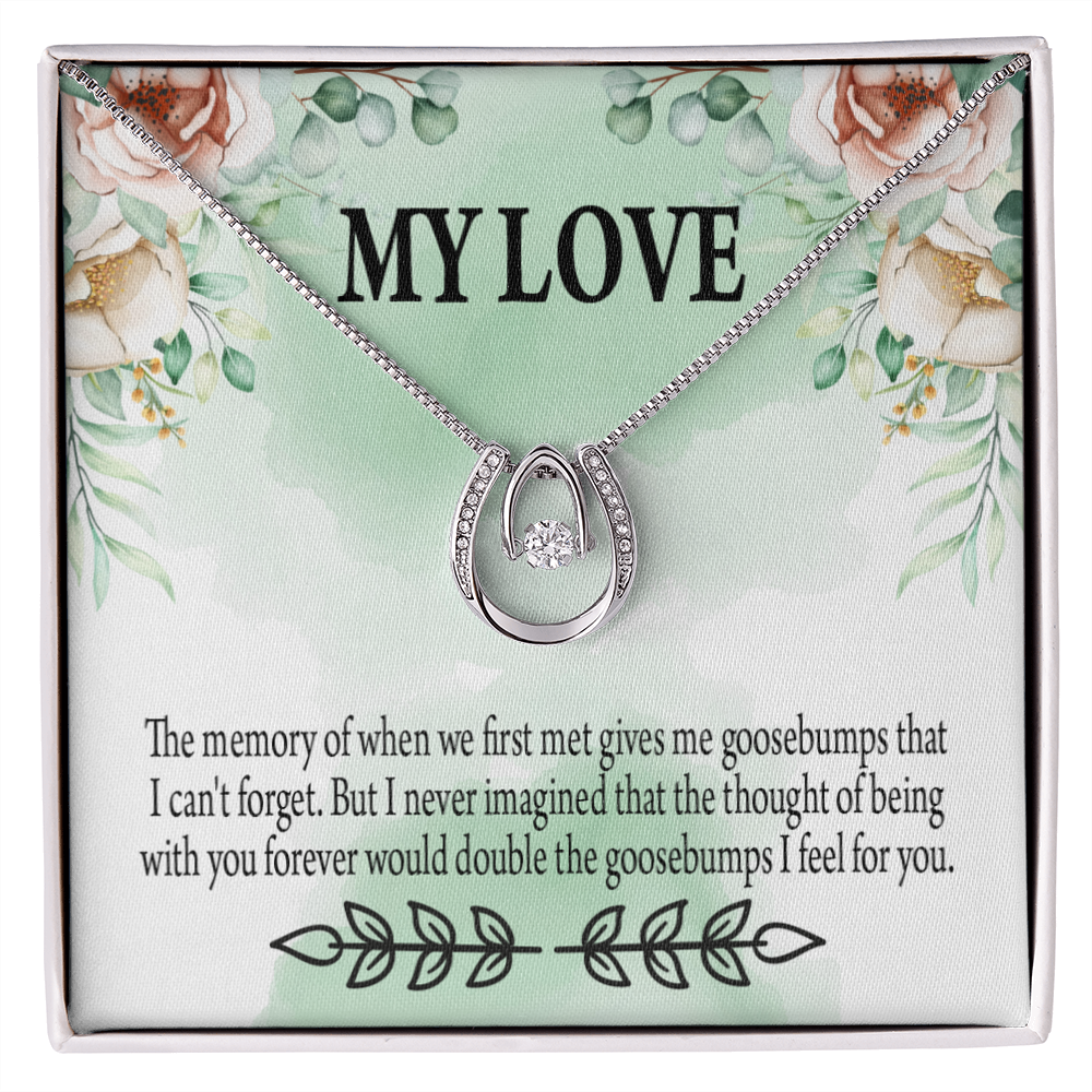 To My Girlfriend Goosebumps Forever Lucky Horseshoe Necklace Message Card 14k w CZ Crystals-Express Your Love Gifts